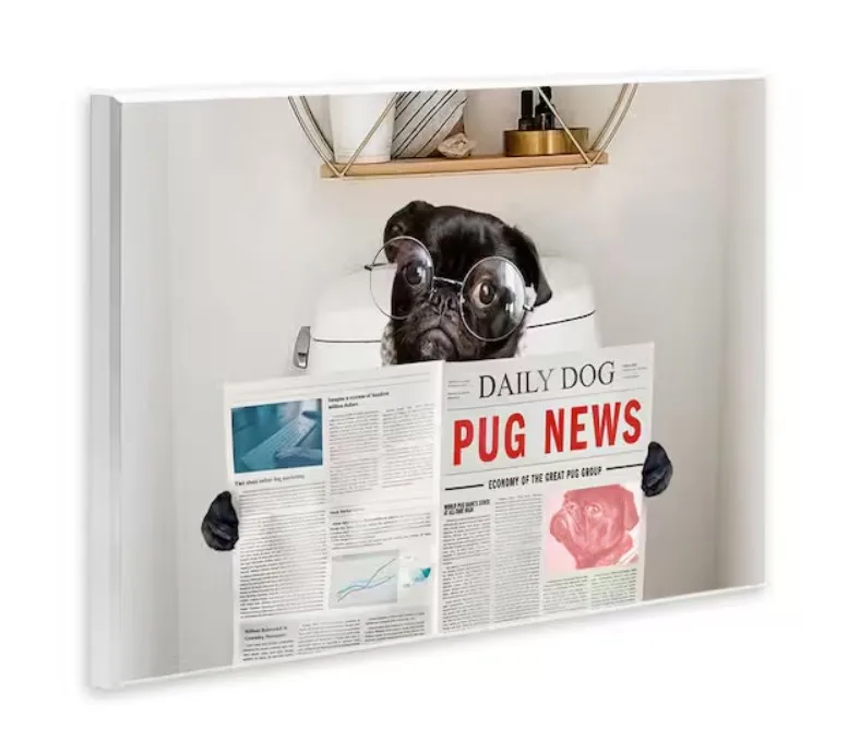 Stupell Industries Bathroom Pug With Newspaper By