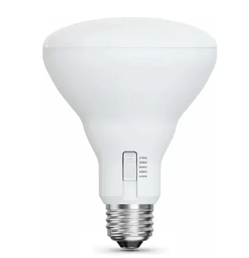 Feit: Light Bulbs