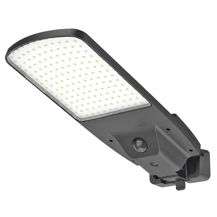Sol R Brite Solar Area Light With Motion Sensor