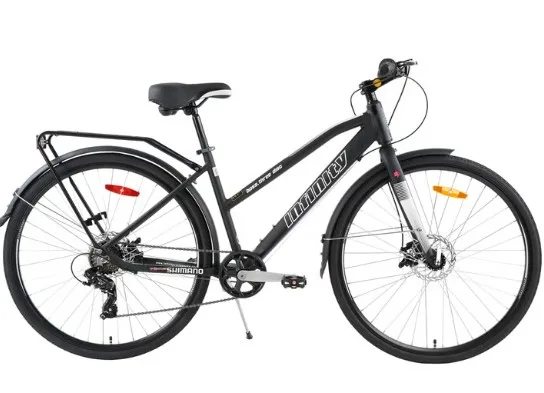 Infinity Boss Three Disc Unisex 17" Thru Bike