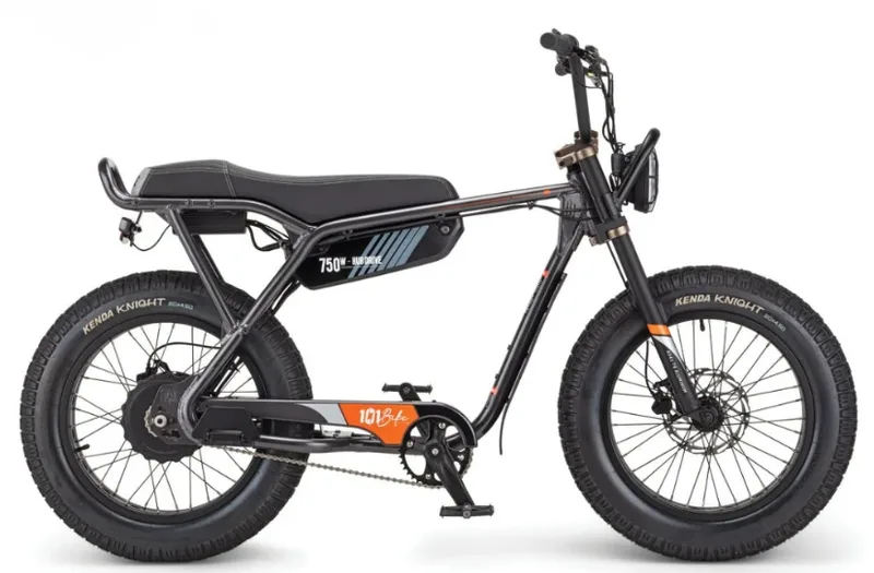 101 Urban Seaside Electric Bike