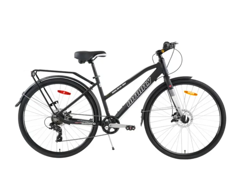 Infinity Boss Three Disc Unisex 17'' Step Thru Bike