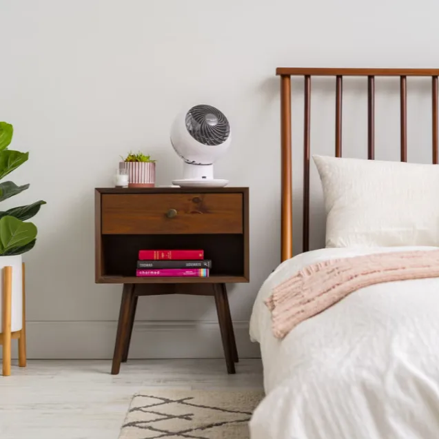 Woozoo Globe Fan With Remote