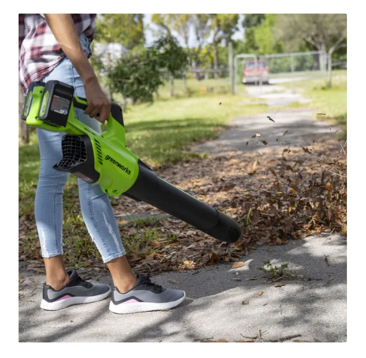 Greenworks 585 Cfm Blower